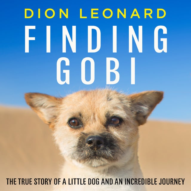 Finding Gobi (Main edition): The true story of a little dog and an incredible journey