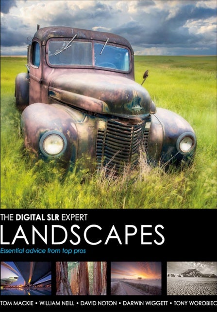 Landscapes: Expert advice from top pros