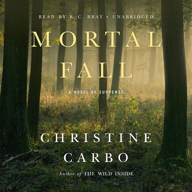 Mortal Fall: A Novel of Suspense