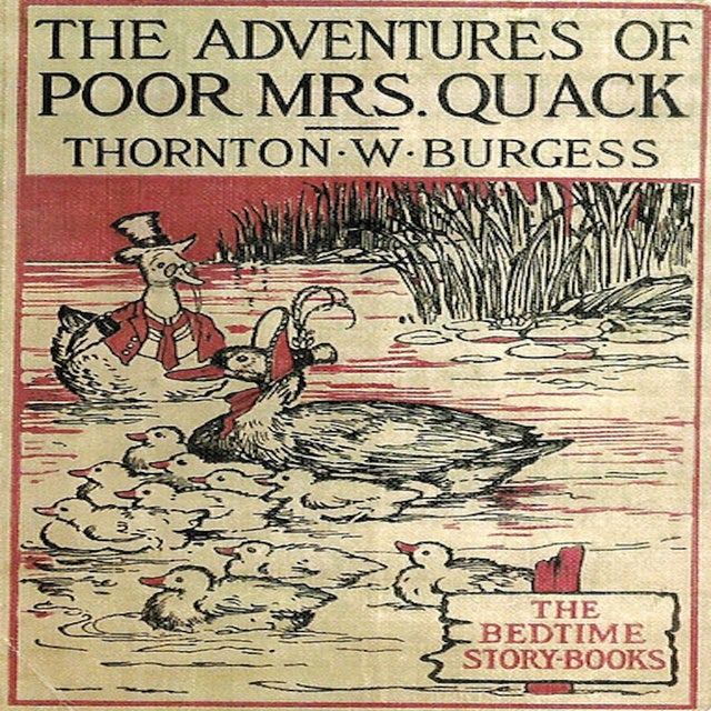 The Adventures of Poor Mrs. Quack
